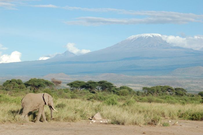 Kilimanjaro (foto: cjasik)